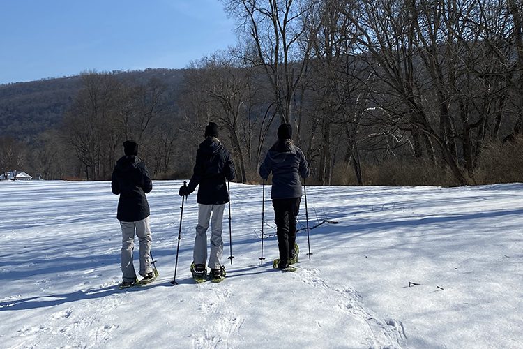 Group Snowshoeing