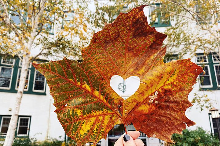 Someone holding a golden hue leaf with a heart imprint.